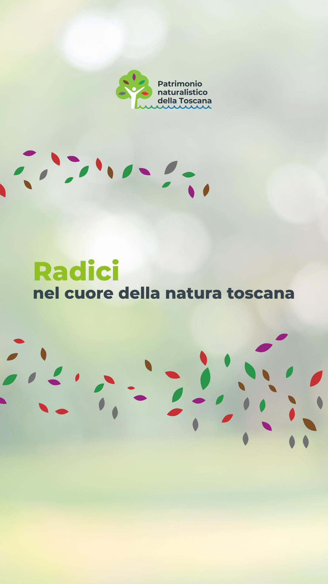 Radici, nel cuore della natura toscana: la cover del format tv