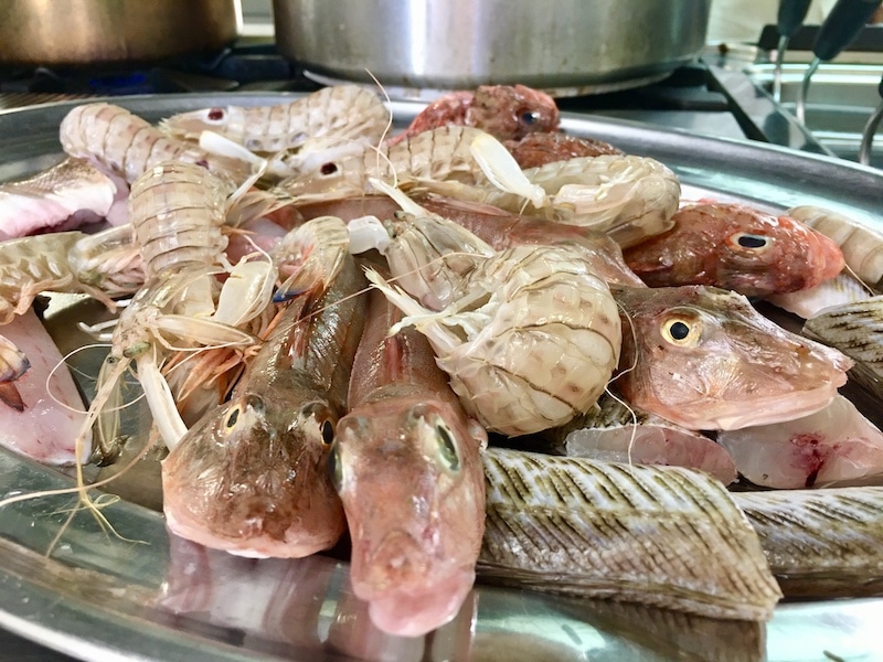 Alcune specie di pesce povero della Toscana
