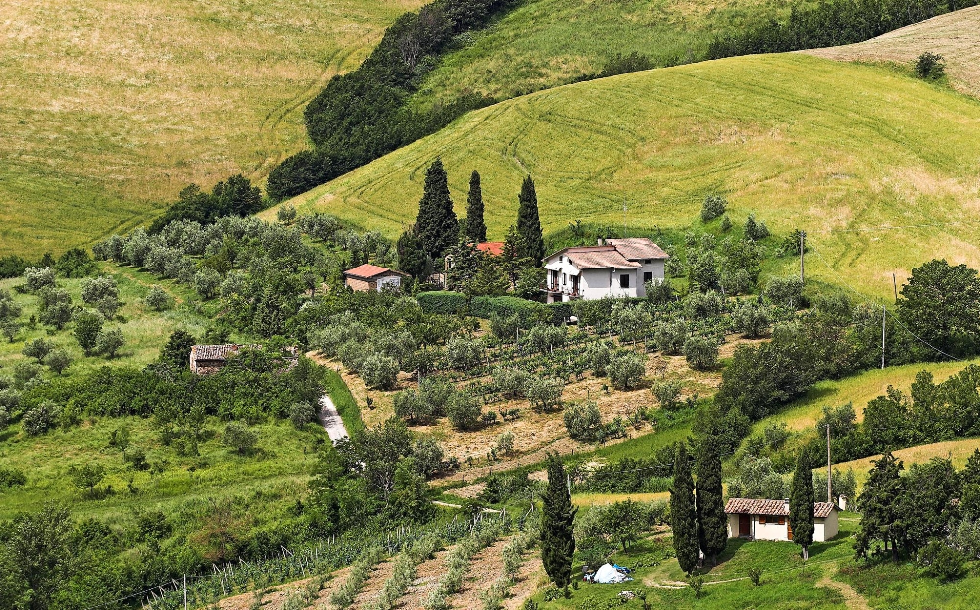 San Casciano Val di Pesa dalla scuola per contadini all'agricoltura dell'oggi, come la Toscana San Casciano Val di Pesa dalla scuola per contadini all'agricoltura dell'oggi, come la Toscana