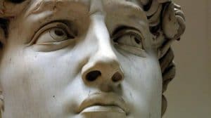 Il volto del David di Michelangelo