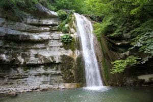 Nel Parco delle Foreste Casentinesi