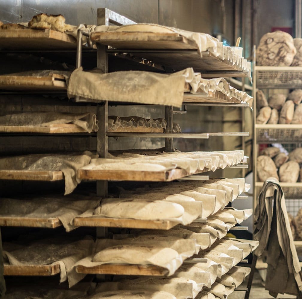 La fase di lievitazione del Pane Toscano DOP