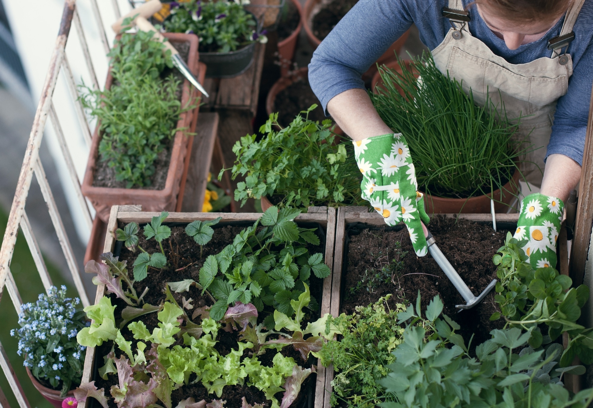 Un orto verticale per sfruttare al meglio lo spazio a disposizione