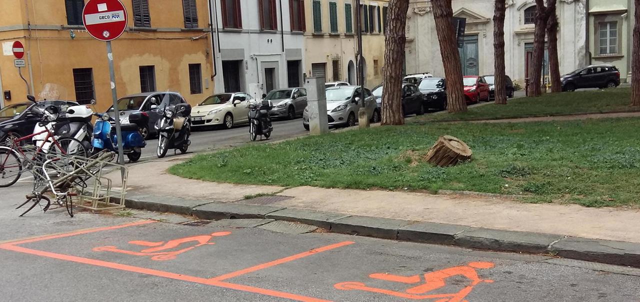 Stalli per monopattini a Pisa